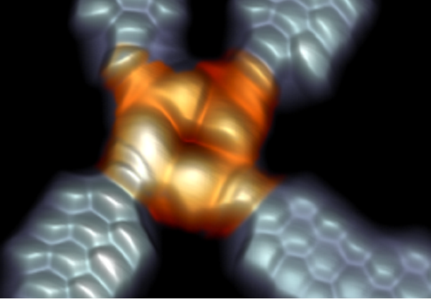 Molécula Antisolar​