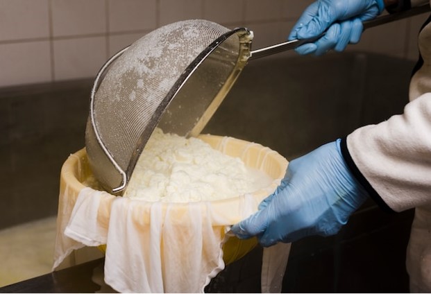 Proceso de fabricación de quesos